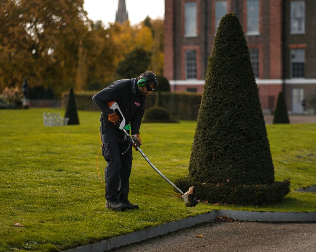 Trabajo de jardinería de Chambi